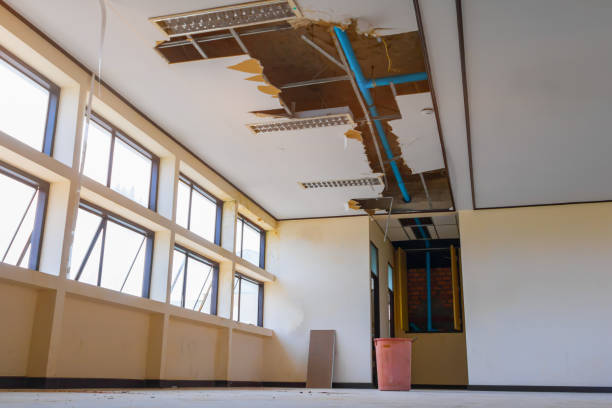 Best Commercial water damage restoration  in Forest City, NC