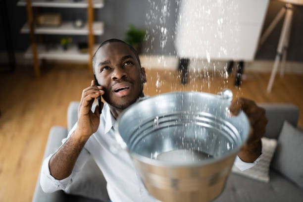 Best Carpet water damage restoration  in Forest City, NC
