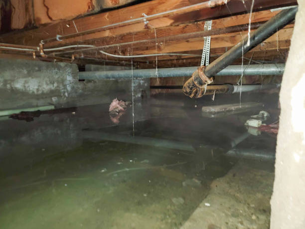 Best Emergency water extraction  in Forest City, NC