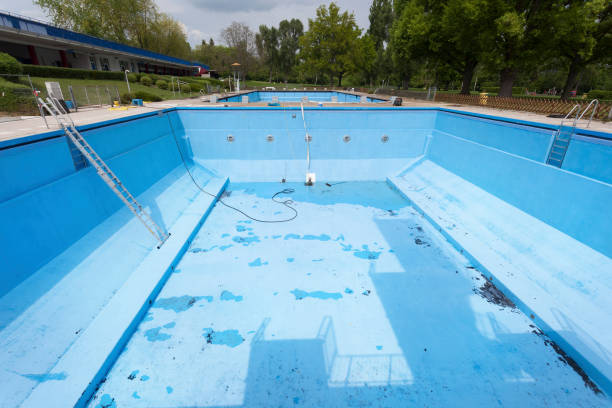 Best Local water damage restoration  in Forest City, NC
