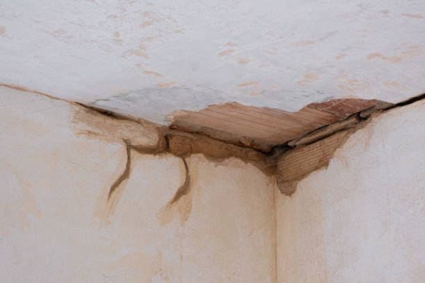 Best Water damage restoration process  in Forest City, NC