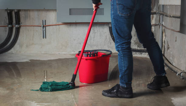 Best Basement water damage restoration  in Forest City, NC