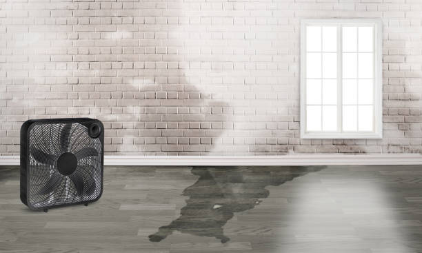 Best Water damage restoration near me  in Forest City, NC
