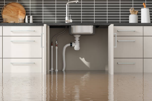 Best Residential water damage restoration  in Forest City, NC