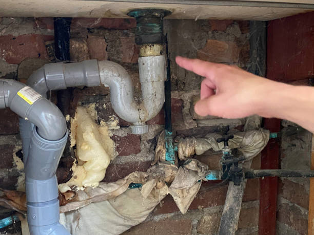 Best Residential water damage restoration  in Forest City, NC