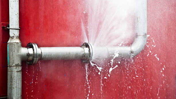 Best Flood damage cleanup  in Forest City, NC